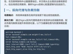 nginx教程实战项目 - nginx 实战教程