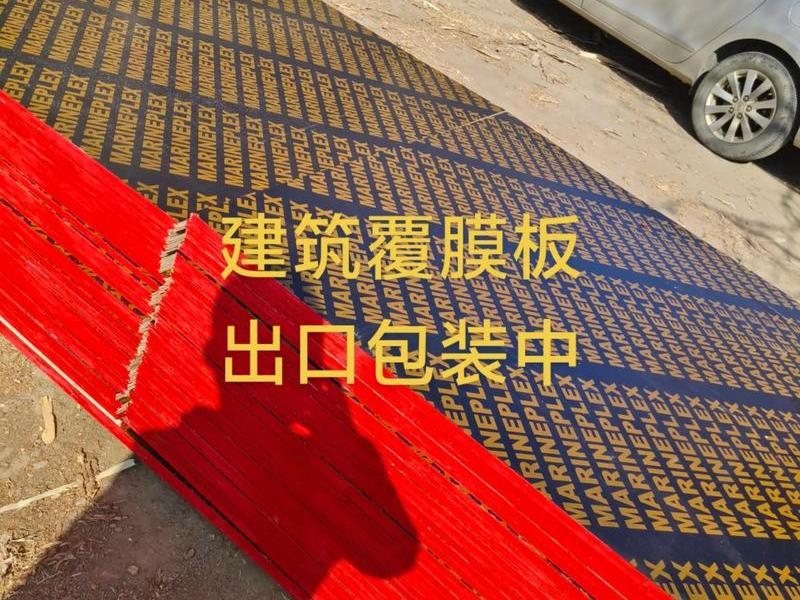 建筑用模板;建筑用模板哪里好 建筑用模板;建筑用模板哪里好