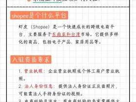 shopee平台入驻流程 shopee的入驻流程包括以下几个步骤
