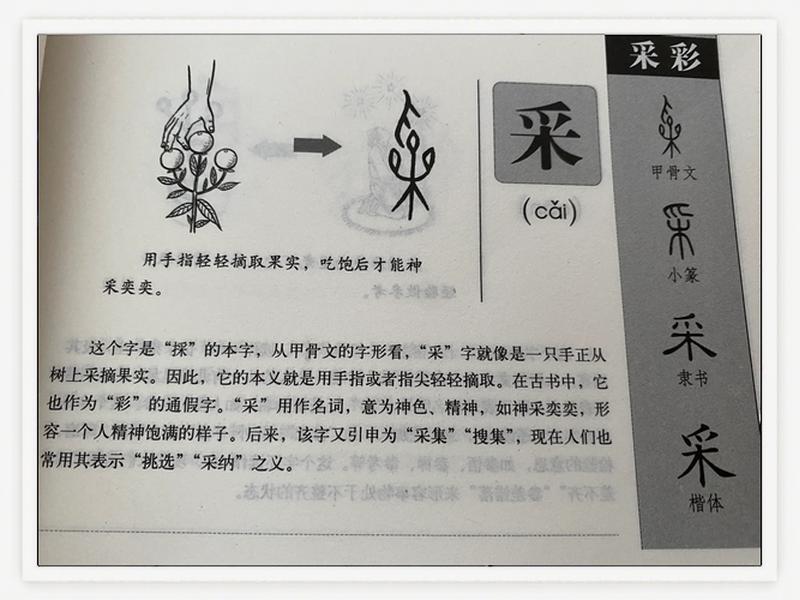 甲骨文兼字,甲骨文兼字怎么写 甲骨文兼字,甲骨文兼字怎么写