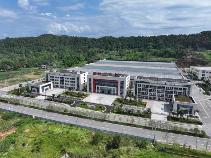 巴中建设网站的公司 - 巴中建设网站的公司有哪些
