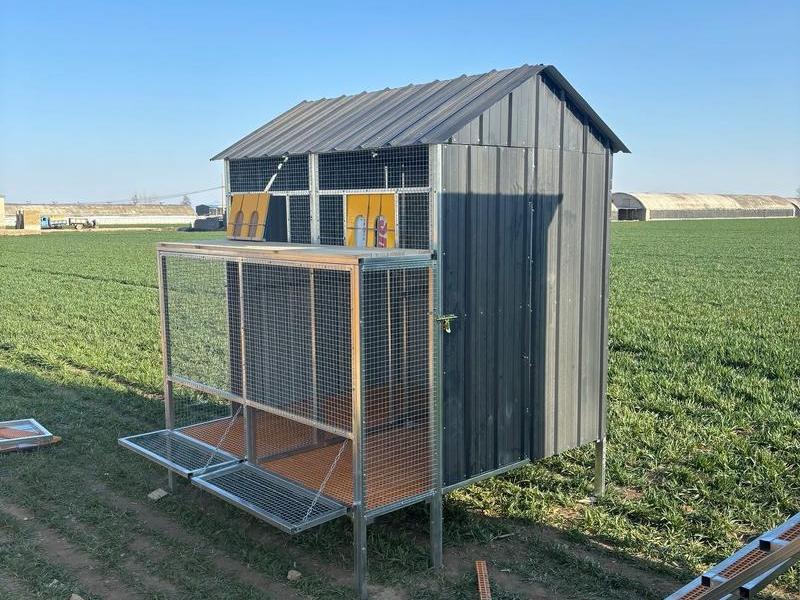鸽棚如何搭建繁殖快,鸽棚如何搭建繁殖快一些 鸽棚如何搭建繁殖快,鸽棚如何搭建繁殖快一些