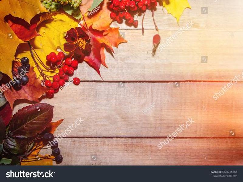 tomato创作背景(to autumn创作背景) tomato创作背景(to autumn创作背景)