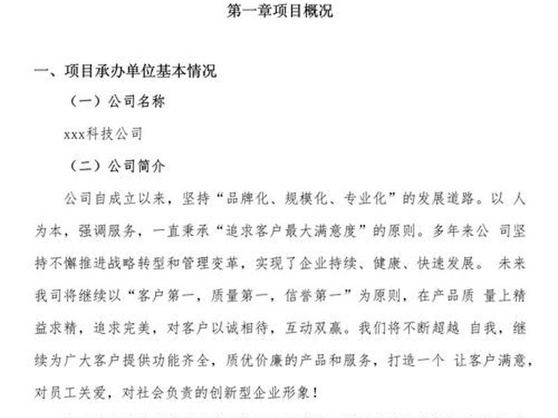 酒店网站建设项目报告书;酒店网站建设项目报告书模板 酒店网站建设项目报告书;酒店网站建设项目报告书模板