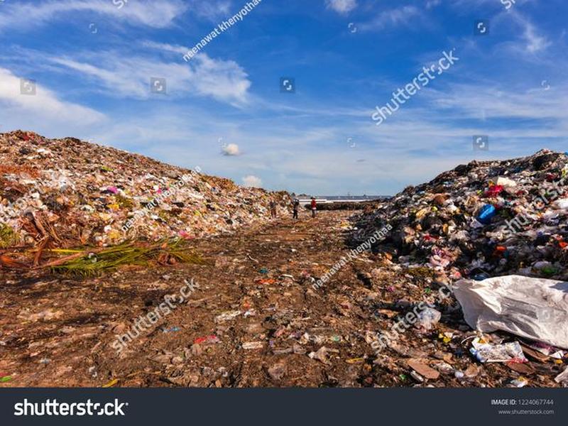 poll,pollution可数吗 poll,pollution可数吗