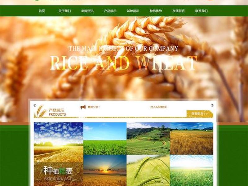 ab模板网站 ab模板网官网 ab模板网站 ab模板网官网