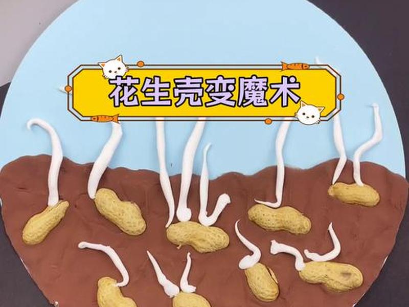 花生壳socket(花生壳可以做肥料吗) 花生壳socket(花生壳可以做肥料吗)