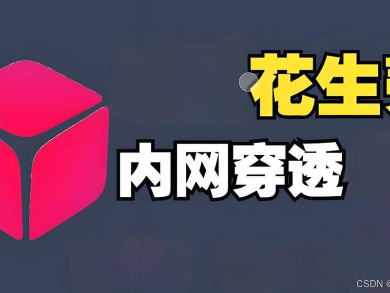 花生壳搭建服务器的高级技巧 - 用花生壳搭建服务器