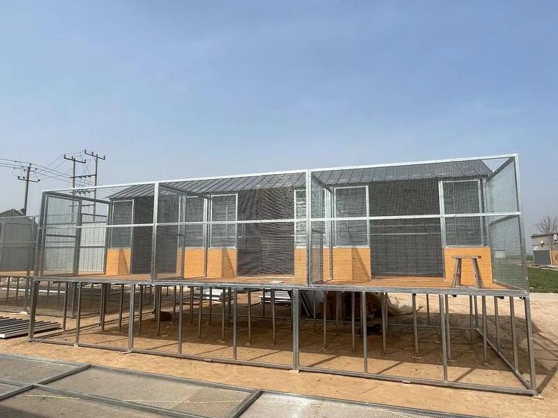 鸽棚如何修建图片大全;鸽棚如何修建图片大全视频 鸽棚如何修建图片大全;鸽棚如何修建图片大全视频