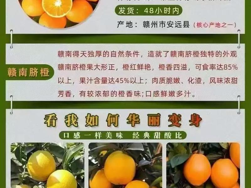 橙子建站广告留资教程 橙子建站广告价格 橙子建站广告留资教程 橙子建站广告价格