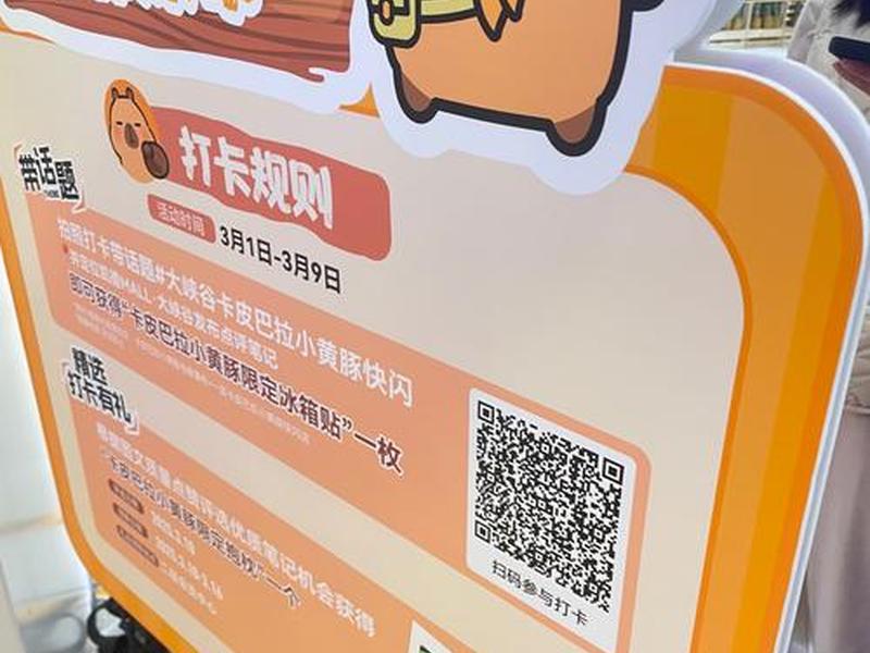 打卡小站网、打卡小站网daka123 打卡小站网、打卡小站网daka123