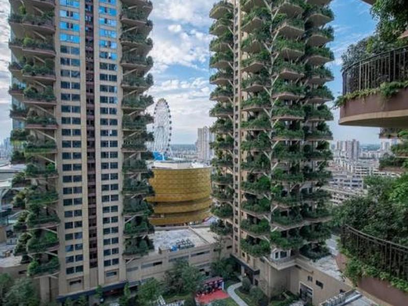 成都自建小区;成都自建小区有哪些 成都自建小区;成都自建小区有哪些