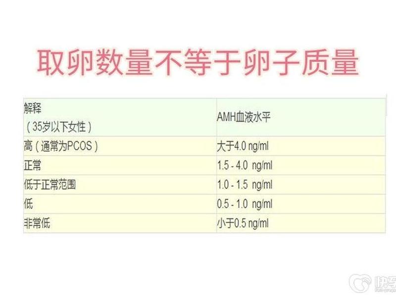 amh建站教程 amh数据 amh建站教程 amh数据