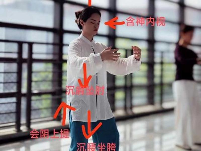 初学站桩的正确步骤是什么,初学站桩的正确方法视频 初学站桩的正确步骤是什么,初学站桩的正确方法视频