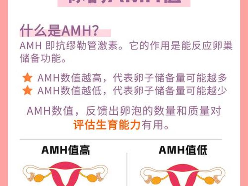 amh是怎么操作的;amh值是怎么算的 amh是怎么操作的;amh值是怎么算的