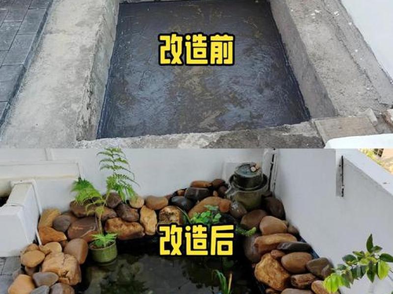 池塘搭建平台 池塘搭建平台的目的 池塘搭建平台 池塘搭建平台的目的
