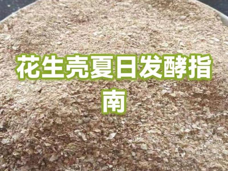 花生壳种植教程（花生壳种植教程图片）