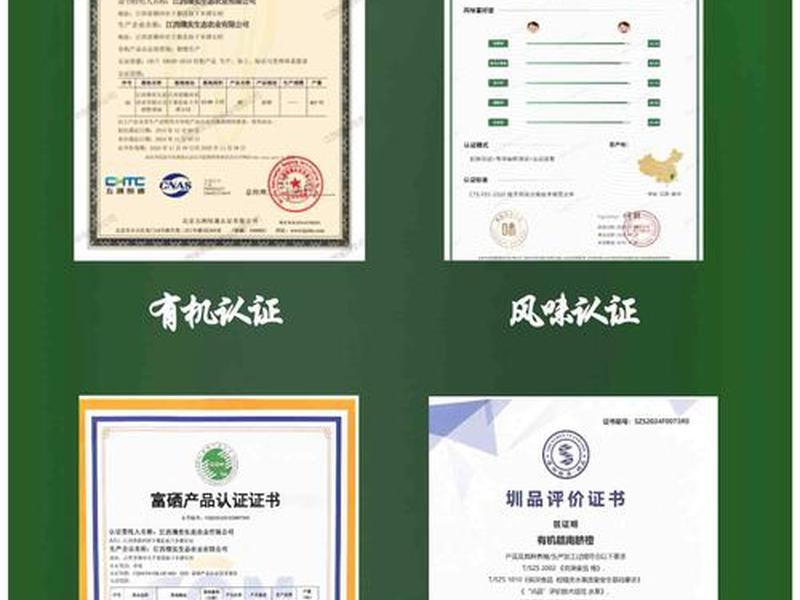 橙子建站是什么东西 橙子建站是什么东西验证码 橙子建站是什么东西 橙子建站是什么东西验证码