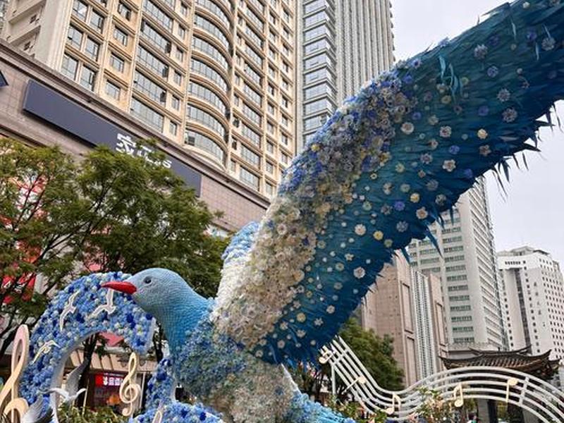 海鸥建站搭建成功案例、海鸥建党 海鸥建站搭建成功案例、海鸥建党