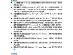 java简历项目经验范文；java简历项目经验范文怎么写