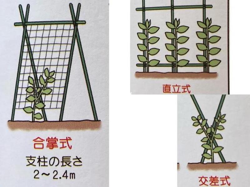 搭建大棚步骤简笔画幼儿 搭建大棚步骤简笔画幼儿教案 搭建大棚步骤简笔画幼儿 搭建大棚步骤简笔画幼儿教案