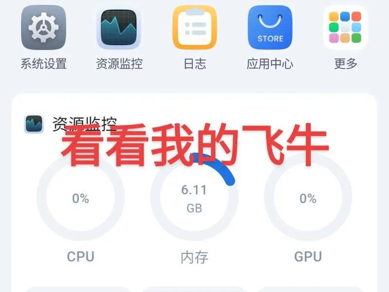 飞牛 飞牛