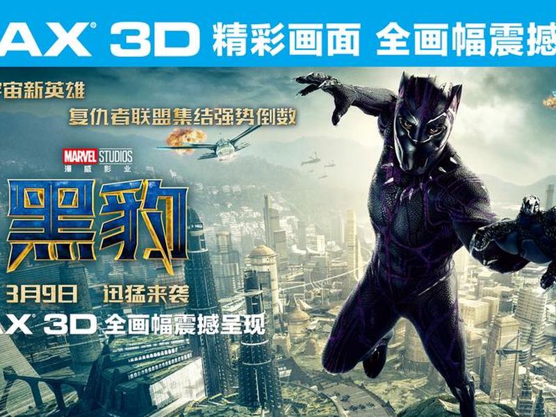黑豹信息 - 黑豹的信息 黑豹信息 - 黑豹的信息