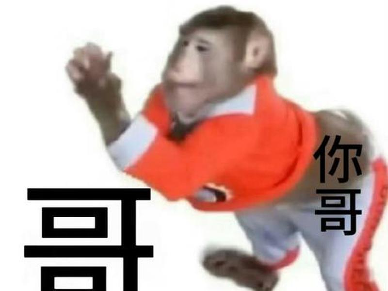 大猫哥是谁;抖音大猫哥是谁 大猫哥是谁;抖音大猫哥是谁