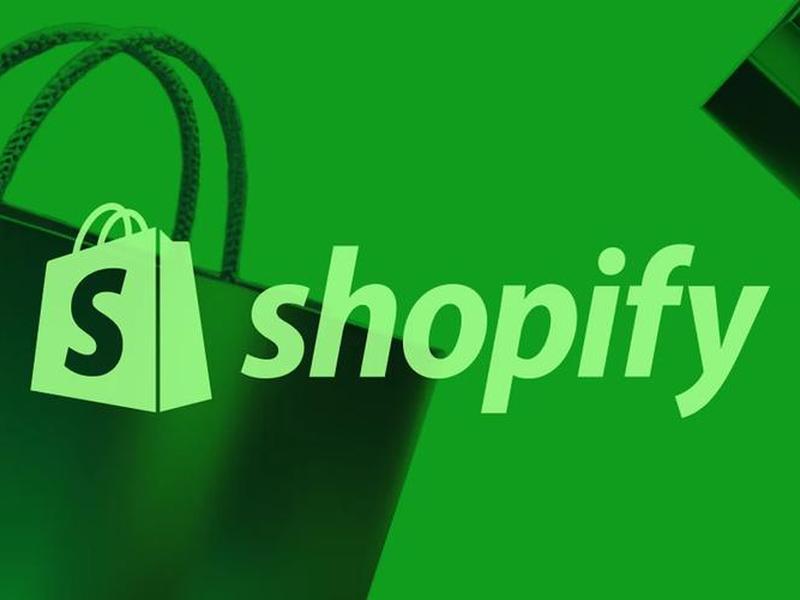shopify+fb(shopify fb) shopify+fb(shopify fb)