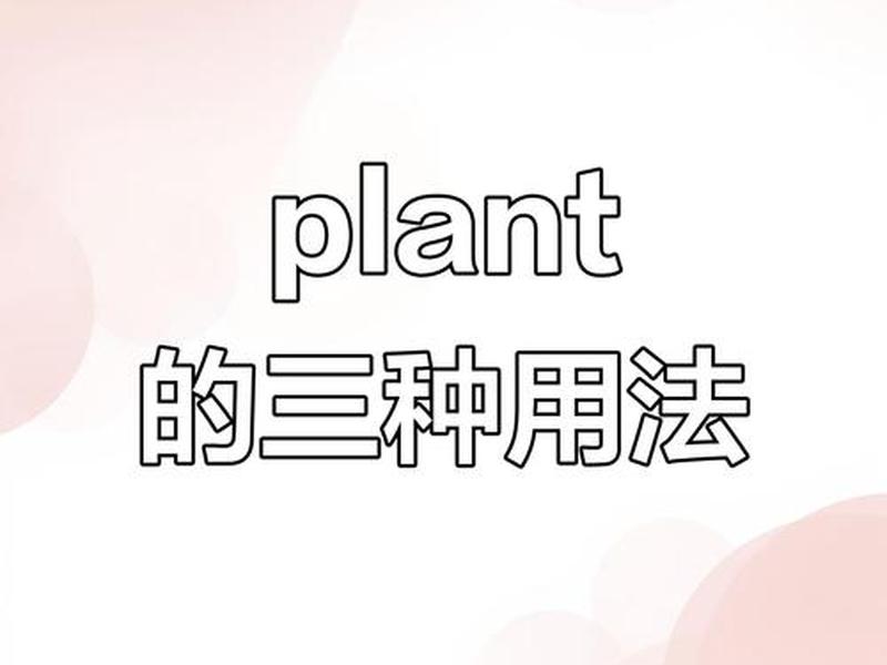 bricks怎么读;lumibricks怎么读 bricks怎么读;lumibricks怎么读