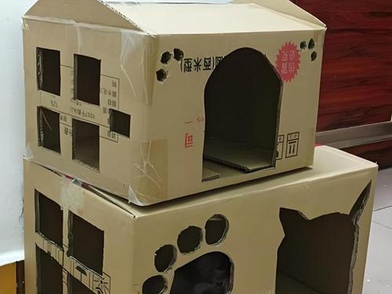 建造猫窝的视频 - 建造猫窝的视频教程