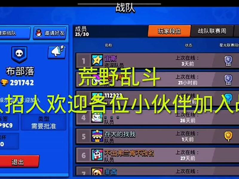 荒野乱斗战队简介怎么写；荒野乱斗战队简介怎么写好看