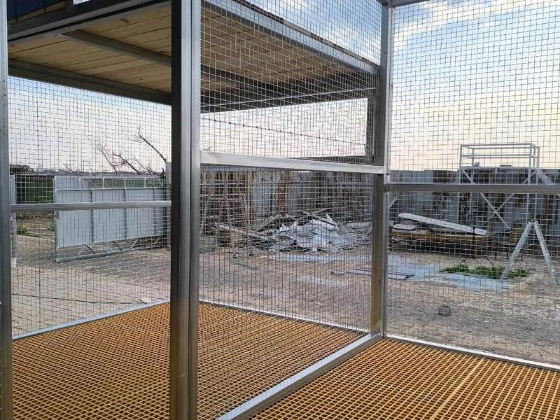 鸽棚搭建最便宜方案,鸽棚搭建最便宜方案图片 鸽棚搭建最便宜方案,鸽棚搭建最便宜方案图片