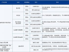 lamp技术（lamp技术环引物）