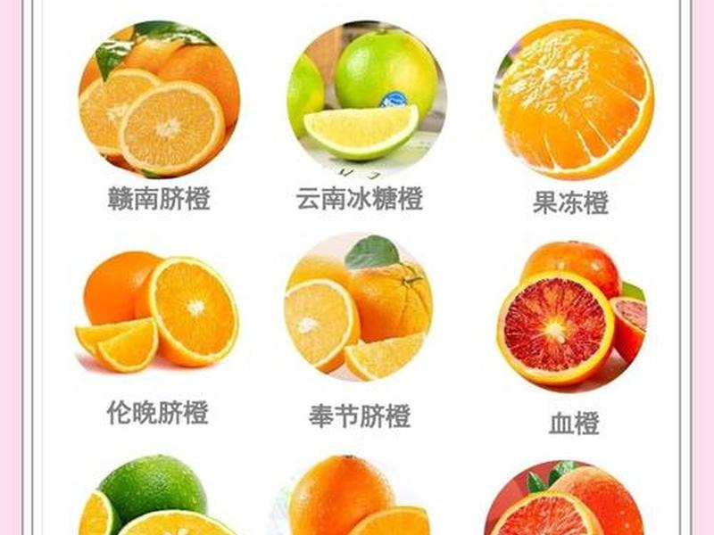 橙子表单是什么；橙子表情什么意思