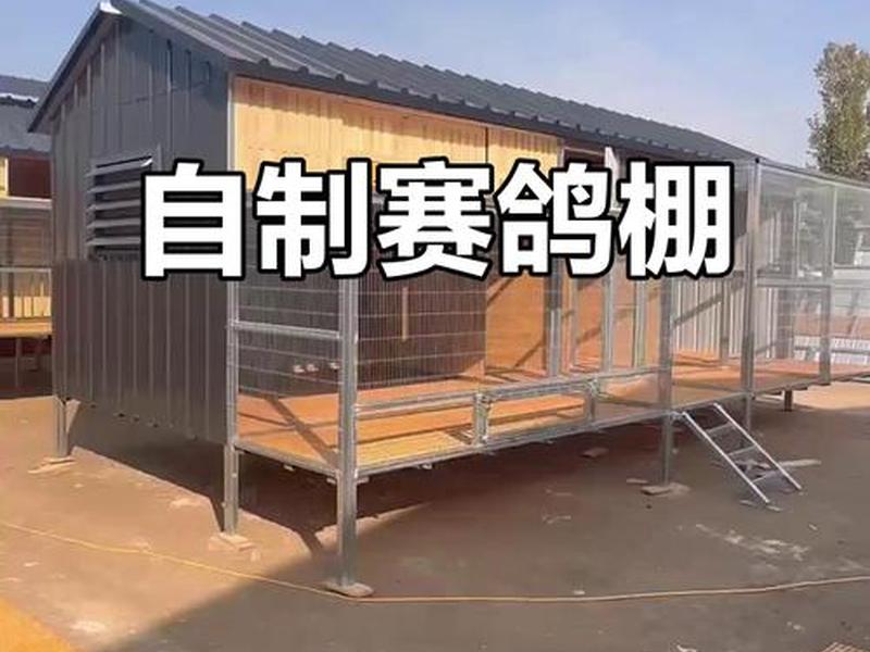 鸽棚顶搭建方法;鸽棚顶搭建方法有哪些 鸽棚顶搭建方法;鸽棚顶搭建方法有哪些