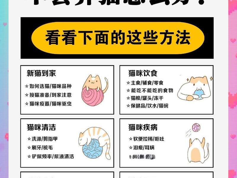 建猫舍的详细流程和注意事项 建猫舍的详细流程和注意事项有哪些