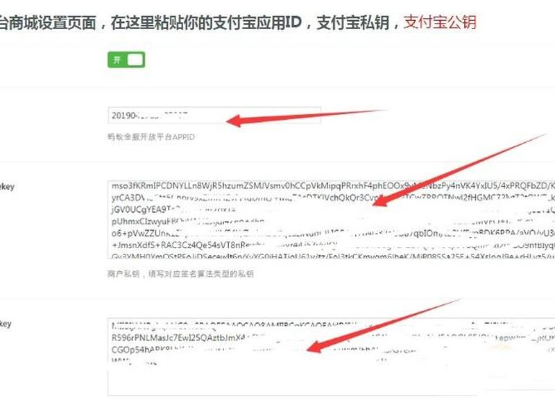 ripro教程、ripro使用教程 ripro教程、ripro使用教程