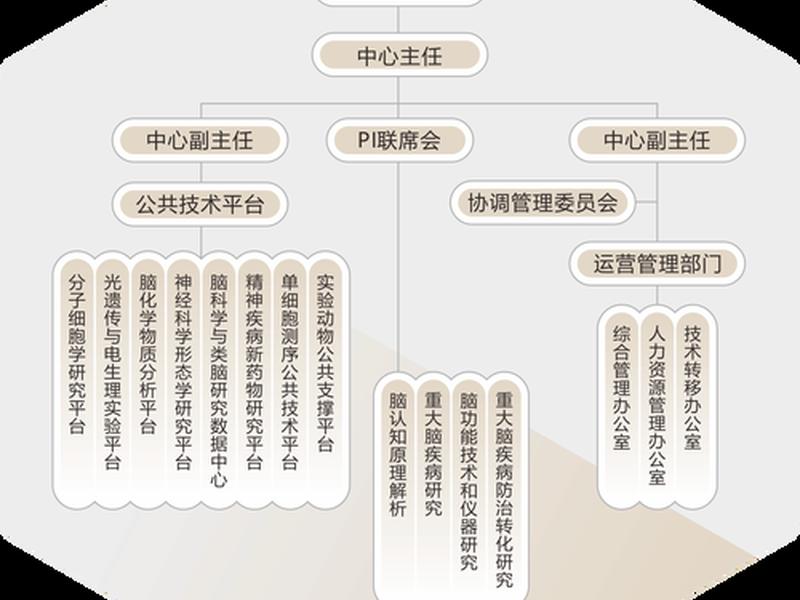 cma架构生产线;cma架构是什么意思 cma架构生产线;cma架构是什么意思