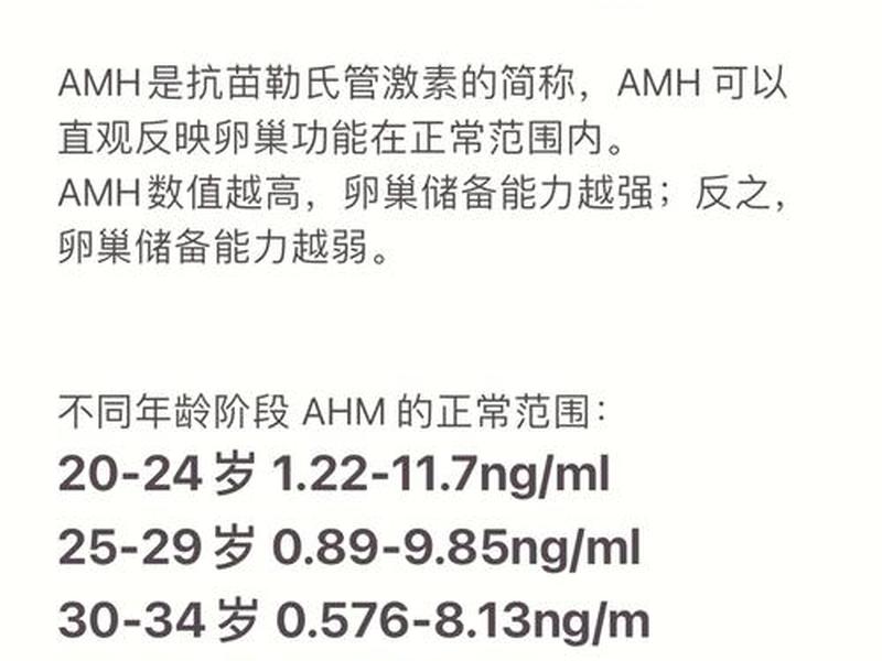 amh建站教程 amh数据 amh建站教程 amh数据
