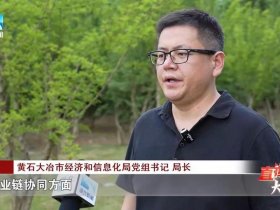 大冶市建设局，大冶市建设局毛文俊