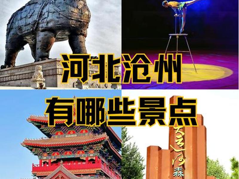 介绍沧州的ppt免费模板、介绍河北沧州的ppt