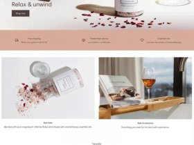 shopify独立站分析工具（shopify独立站运营 工作描述）