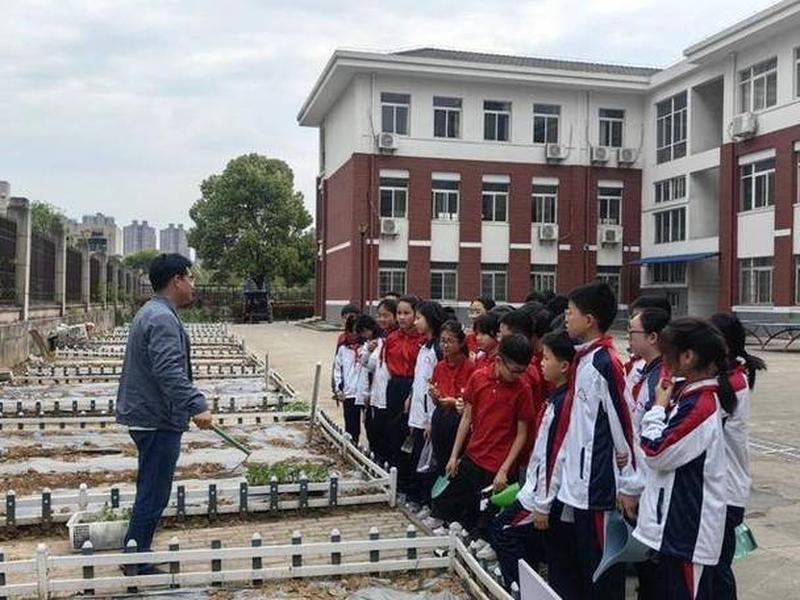 安庆外贸,安庆外贸学校 安庆外贸,安庆外贸学校