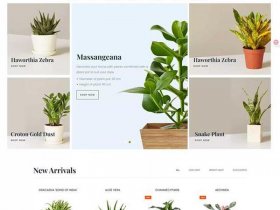 shopify独立建站搭建 - shopify独立站建站