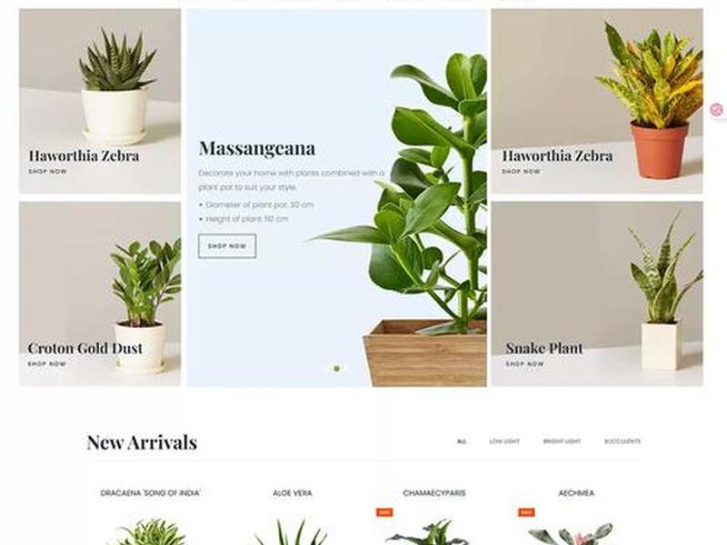 shopify独立建站搭建 - shopify独立站建站 shopify独立建站搭建 - shopify独立站建站