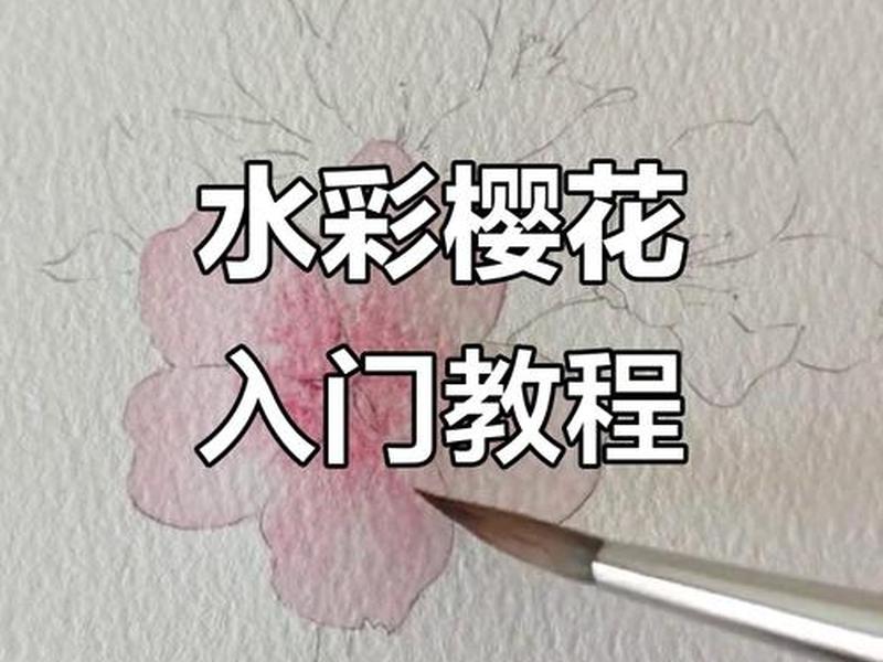 sakura create使用教程 sakura editor 教程