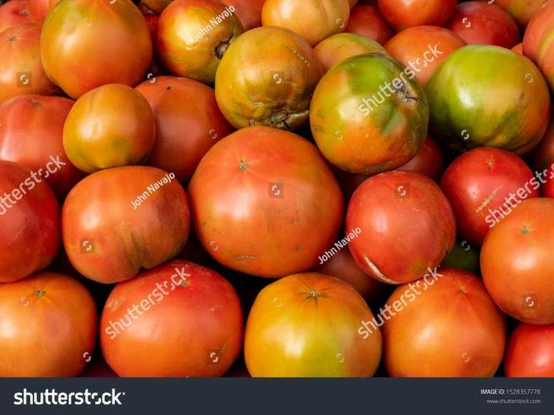 tomatoes tomatoes的中文 tomatoes tomatoes的中文