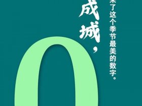 从零开始建造避风港，从零开始建造避风港的小说