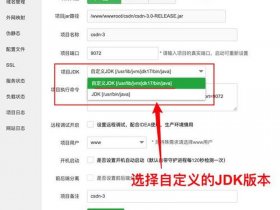 宝塔怎么搭建应用软件、宝塔怎么搭建应用软件平台